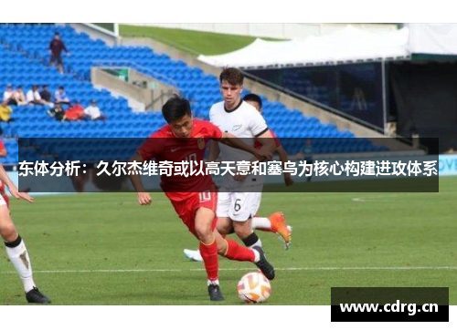 东体分析：久尔杰维奇或以高天意和塞鸟为核心构建进攻体系